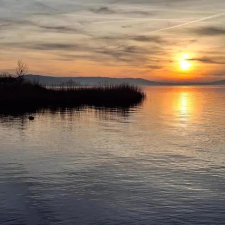 別荘 Lakeside Hallschlag