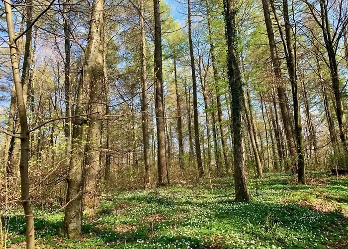 בית נופש Lakeside